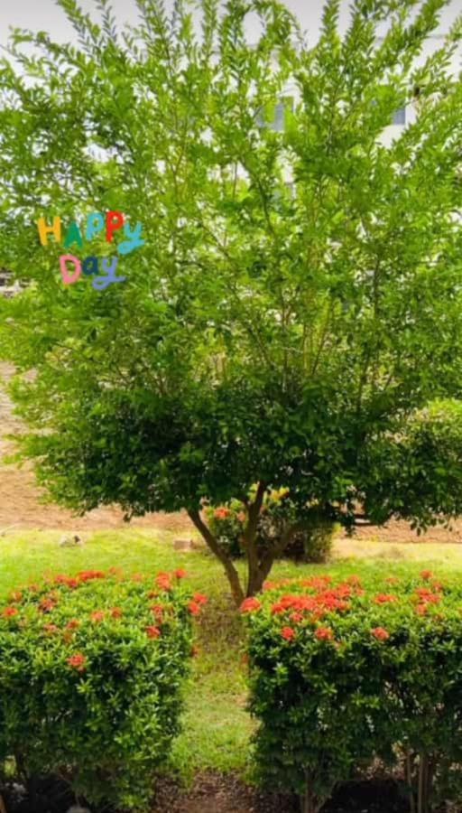 Apartamento, Zona Leste, Otima Localizacao. Teresina Exteriér fotografie